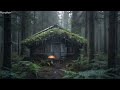 Soothing Sounds of Rain on a Tin Roof | Rain Sounds Without Thunder for Sleeping & Relaxation