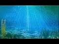 Relaxing Underwater Sounds | ASMR . Ambience for Sleeping