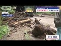 大雨続く山形＆秋田 2度の特別警報 爪痕は【スーパーJチャンネル】(2024年7月26日)