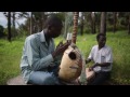 Gambian Kora Player