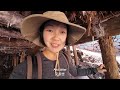 What Rural Tibet Is REALLY Like I S2, EP80