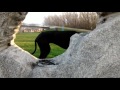 Thirsty great dane finds water! (Funny!)