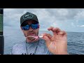 The BEST Florida Keys Catches all in one! - Mutton Snapper Mahi Mahi Tuna [Catch & Cook]