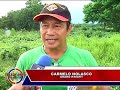 PTV TELEDYARYO YLOCOS TREE PLANTING ACTIVITY INSAYANGKAT TI KOC