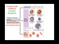 Blood Lecture 1: Introduction and blood composition