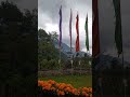 Beautiful Yuksom #sikkim #yuksom #theredpalaceyuksom #flowers #marigoldgarden #marigoldflowers