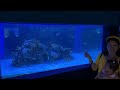 MANILA OCEAN PARK TOUR 2023 | The Amazing OCEANARIUM Tourist Attraction in Manila Philippines