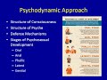 Psychodynamic Approach