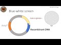 Blue-White Screen & Transformation