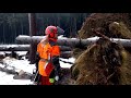 Husqvarna 572XP VS Husqvarna 560XP Chain saw Hurricane Herwart broke trees !!!