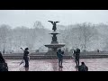 Snowy Central Park, NYC (February 13 2022)