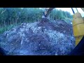 How We Cleaned a Swampy Lake With an Excavator