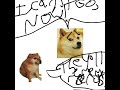 RIP DOGE