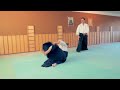Kokoro Aikido 2. Kyu exam techniques