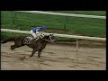 Smarty Jones Wins 2004 KY Derby