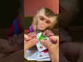 Baby monkey funny | ASMR Random July 🍉🍓🍠🎂🍥🍶 21