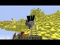 RICH JJ and POOR Mikey TV WOMAN Family ! MCDONALDS BATTLE! Mikey and JJ in Minecraft - Maizen