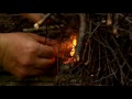 How to Properly Light a Fire - Ray Mears