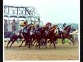 Secretariat Tribute-King of the Horses