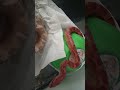 Warning Live Snake Attack on Live Mouse