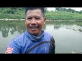 Viral...umpan jitu ulat jerman jadi rebutan ikan  lele monster || rilis ikan keli afrika monster