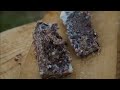 Pemmican