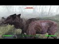 Dogmeat's Noble Sacrifice | Fallout 4 | First time playing | Episode 2
