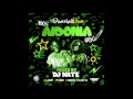100% Aidonia Mix - Dancehall Dons @DJNateUK