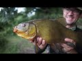 TENCH FISHING IN SUMMER - 60 acres can we catch
