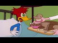 Woody Woodpecker Show | The Contender | Full Episode | Cartoons For Children HD