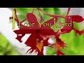 THERE IS A BEAUTIFUL GOD/LEAD ME LORD/Country Gospel music by Kriss tee Hang/Lifebreakthrough