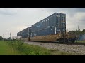 A very long Intermodal train.