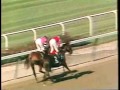 Affirmed - 1978 Belmont Stakes (CBS footage)