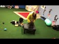 Learn How. Puppy Fitness Training with Klimb