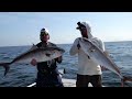 Chunking GIANT Popper's Offshore To Catch The BADDEST Fish On The Reef! *Amberjack CCC*