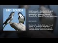 Bird Sounds - Gentle Birds and Forest Stream for Relaxation Meditation. Relaxing Nature's...
