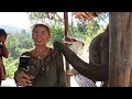 ELEPHANT SANCTUARY | Chai Lai Orchid | Chiang Mai, Thailand