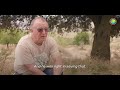 Why this retired farmer plants trees | Regenerative Agriculture in Spain