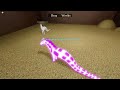 Roblox Horse World Showing My Horses and hanging out with my friend!