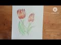 Drawing of tulip flower 🌷 🌷...