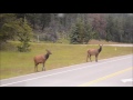 Roads of British Columbia to Alberta, Canada