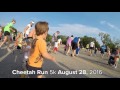 Cheetah Run 5k 2016 - Cincinnati Zoo