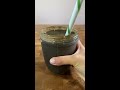 My go to smoothie that doesn’t taste like plants