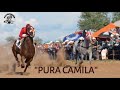 Carreras de Caballos en Nacori Gde. 08 Agosto 2015