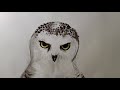 TOP SECRET Animal portrait in INKtober | Inktober part 2