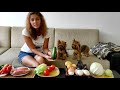 What vegetables can you give your dog