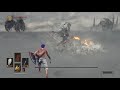 Nameless King sl1 no rolling/blocking/parrying/staggers flawless
