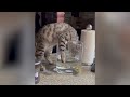 Try Not To LAUGH CATS Videos 😁 Funny Cat Memory 😹😍 #13