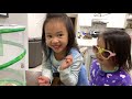 Life Cycle of a Butterfly | Grow Painted Lady Butterflies from Caterpillars with me!