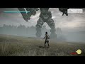 Shadow of the Colossus: Record for Most Flips with Wanderer?